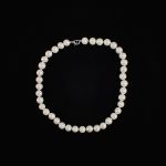 1286 1203 PEARL NECKLACE